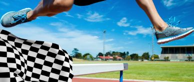 Insight Q4 2024 - Victory lap or obstacle course?